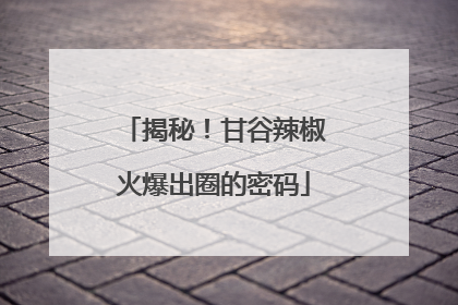 揭秘！甘谷辣椒火爆出圈的密码
