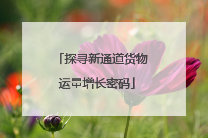 探寻新通道货物运量增长密码