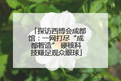 探访西博会成都馆：一网打尽“成都智造” 硬核科技赚足观众眼球
