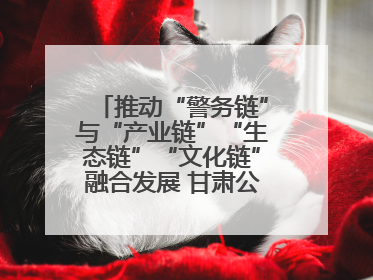 推动“警务链”与“产业链”“生态链”“文化链”融合发展 甘肃公安打造陇原旅游警务品牌