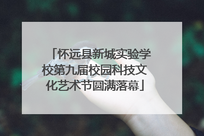 怀远县新城实验学校第九届校园科技文化艺术节圆满落幕