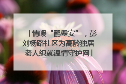 情暖“鹤耋安”，彭刘杨路社区为高龄独居老人织就温情守护网
