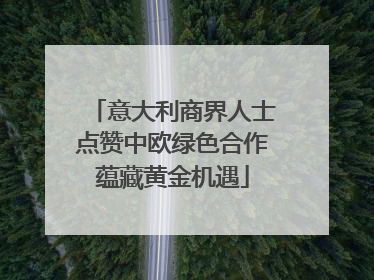意大利商界人士点赞中欧绿色合作蕴藏黄金机遇