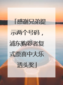 感谢兄弟提示两个号码，浦东购彩者复式票喜中大乐透头奖