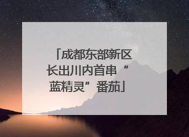 成都东部新区长出川内首串“蓝精灵”番茄
