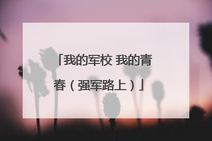我的军校 我的青春（强军路上）