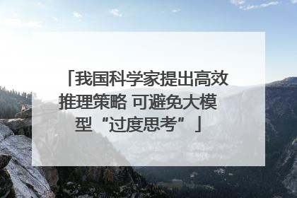 我国科学家提出高效推理策略 可避免大模型“过度思考”