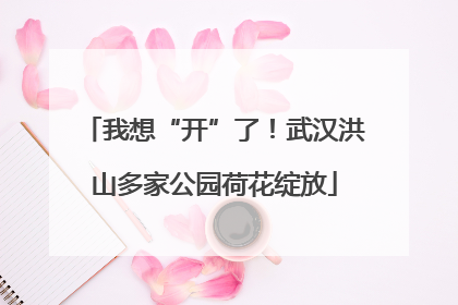 我想“开”了！武汉洪山多家公园荷花绽放