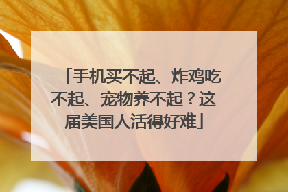 手机买不起、炸鸡吃不起、宠物养不起？这届美国人活得好难