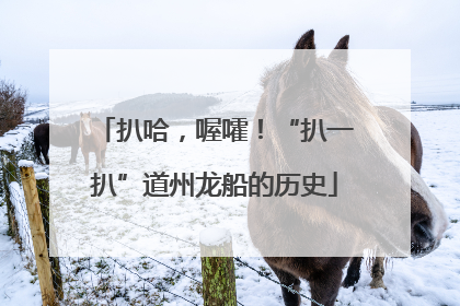 扒哈，喔嚯！“扒一扒”道州龙船的历史