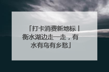 打卡消费新地标丨衡水湖边走一走，有水有鸟有乡愁