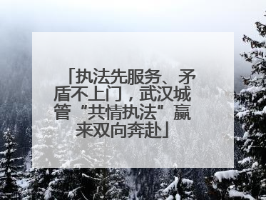 执法先服务、矛盾不上门，武汉城管“共情执法”赢来双向奔赴