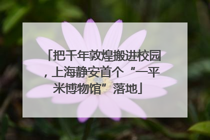 把千年敦煌搬进校园，上海静安首个“一平米博物馆”落地