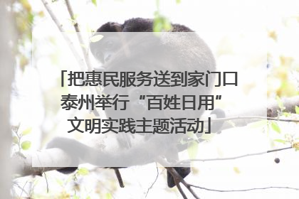 把惠民服务送到家门口 泰州举行“百姓日用”文明实践主题活动