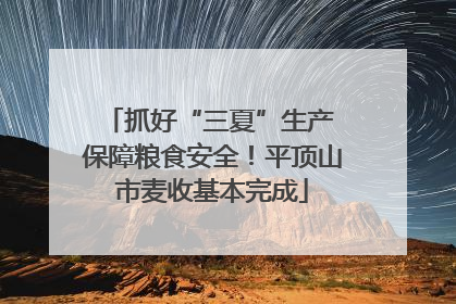 抓好“三夏”生产 保障粮食安全！平顶山市麦收基本完成