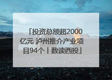 投资总额超2000亿元 泸州推介产业项目94个丨数读西投