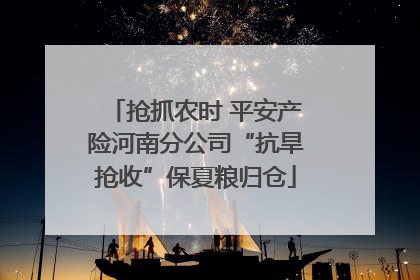 抢抓农时 平安产险河南分公司“抗旱抢收”保夏粮归仓