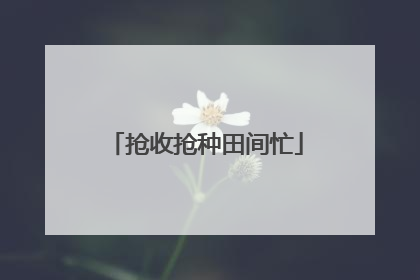 抢收抢种田间忙