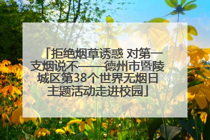 拒绝烟草诱惑 对第一支烟说不——德州市暨陵城区第38个世界无烟日主题活动走进校园