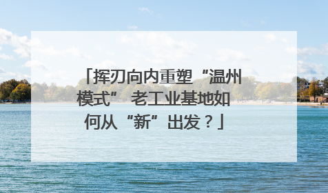 挥刃向内重塑“温州模式” 老工业基地如何从“新”出发？