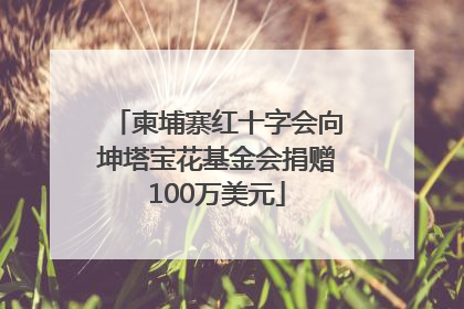 柬埔寨红十字会向坤塔宝花基金会捐赠100万美元