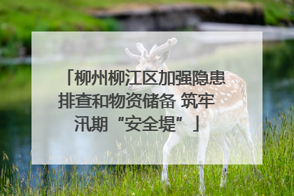 柳州柳江区加强隐患排查和物资储备 筑牢汛期“安全堤”