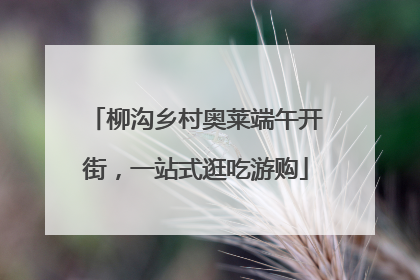 柳沟乡村奥莱端午开街，一站式逛吃游购