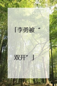 李勇被“双开”