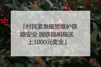 村民紧急报警维护铁路安全 国铁昆明局送上1000元奖金