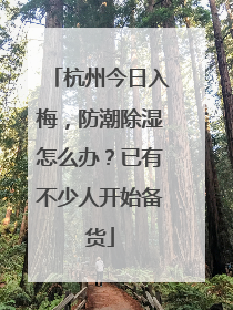 杭州今日入梅，防潮除湿怎么办？已有不少人开始备货