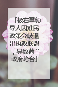 极右翼领导人因难民政策分歧退出执政联盟，导致荷兰政府垮台