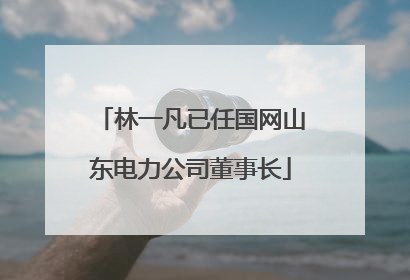 林一凡已任国网山东电力公司董事长
