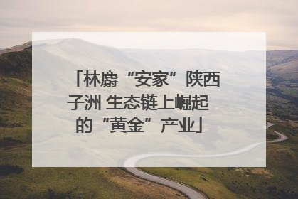 林麝“安家”陕西子洲 生态链上崛起的“黄金”产业