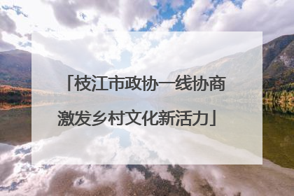 枝江市政协一线协商激发乡村文化新活力