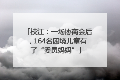 枝江：一场协商会后，164名困境儿童有了“委员妈妈”