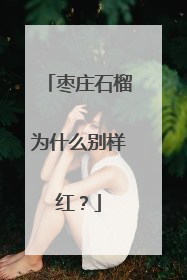 枣庄石榴为什么别样红？