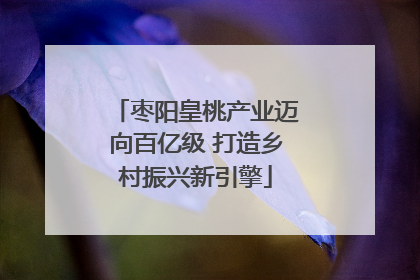 枣阳皇桃产业迈向百亿级 打造乡村振兴新引擎