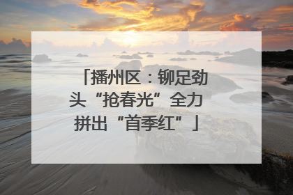 播州区：铆足劲头“抢春光”全力拼出“首季红”