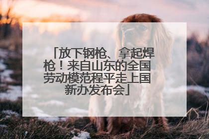 放下钢枪、拿起焊枪！来自山东的全国劳动模范程平走上国新办发布会