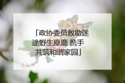 政协委员救助迷途野生麋鹿 携手共筑和谐家园