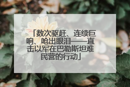 数次驱赶、连续巨响、呛出眼泪——直击以军在巴勒斯坦难民营的行动
