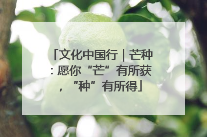 文化中国行｜芒种：愿你“芒”有所获，“种”有所得