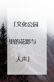 文化公园里的花影与人声