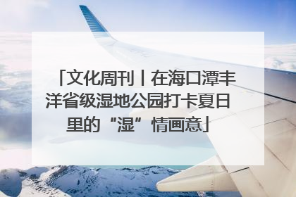 文化周刊丨在海口潭丰洋省级湿地公园打卡夏日里的“湿”情画意