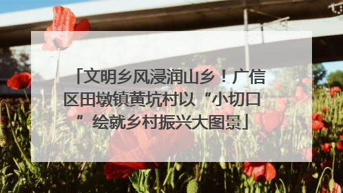 文明乡风浸润山乡！广信区田墩镇黄坑村以“小切口”绘就乡村振兴大图景
