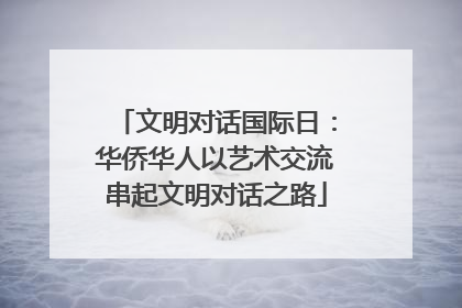 文明对话国际日：华侨华人以艺术交流串起文明对话之路