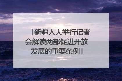 新疆人大举行记者会解读两部促进开放发展的重要条例