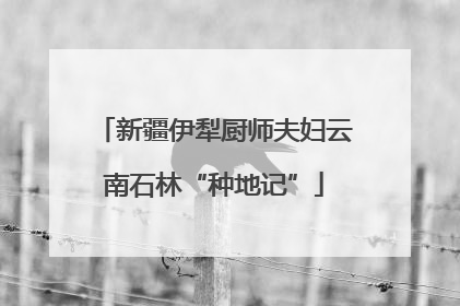 新疆伊犁厨师夫妇云南石林“种地记”