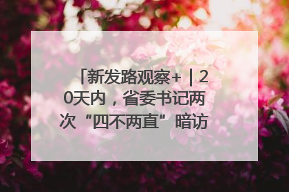 新发路观察+｜20天内，省委书记两次“四不两直”暗访，有何深意？