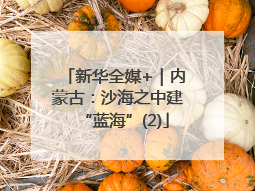 新华全媒+｜内蒙古：沙海之中建“蓝海”(2)